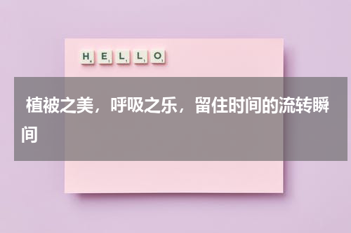  植被之美，呼吸之乐，留住时间的流转瞬间