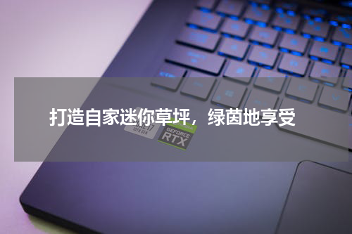  打造自家迷你草坪，绿茵地享受