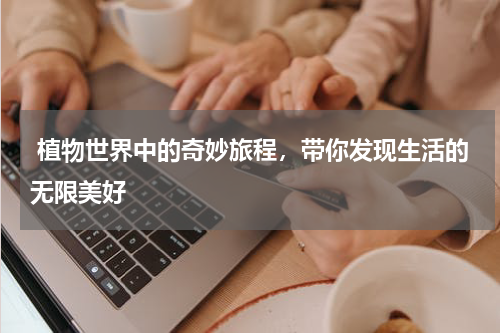  植物世界中的奇妙旅程，带你发现生活的无限美好
