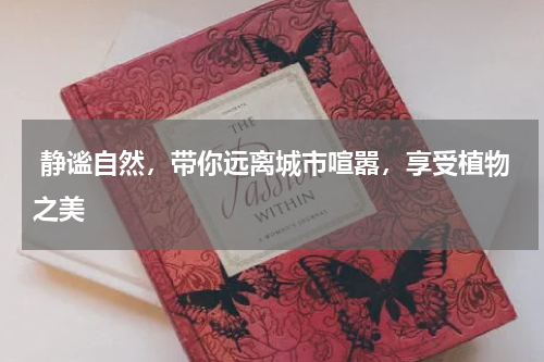  静谧自然，带你远离城市喧嚣，享受植物之美