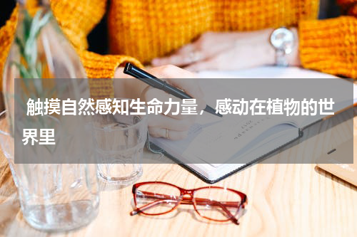  触摸自然感知生命力量，感动在植物的世界里
