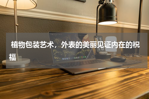  植物包装艺术，外表的美丽见证内在的祝福