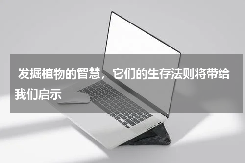  发掘植物的智慧，它们的生存法则将带给我们启示