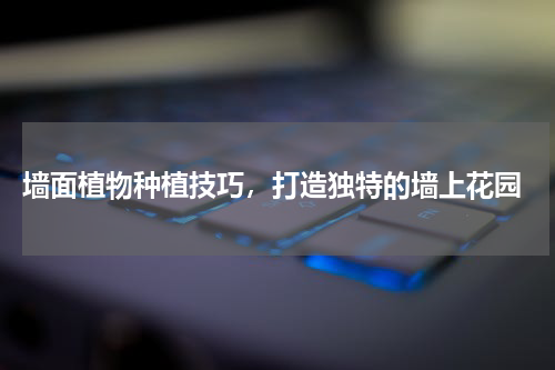  墙面植物种植技巧，打造独特的墙上花园
