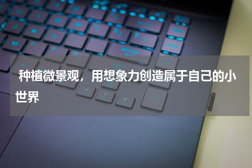  种植微景观，用想象力创造属于自己的小世界