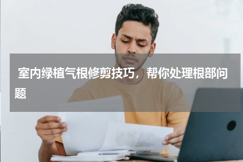  室内绿植气根修剪技巧，帮你处理根部问题