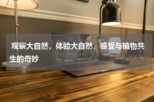  观察大自然，体验大自然，感受与植物共生的奇妙