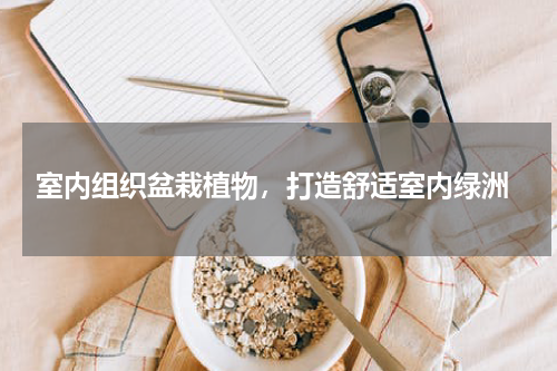  室内组织盆栽植物，打造舒适室内绿洲