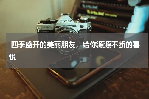  四季盛开的美丽朋友，给你源源不断的喜悦