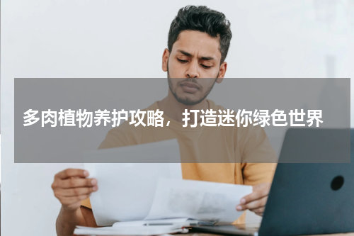  多肉植物养护攻略，打造迷你绿色世界