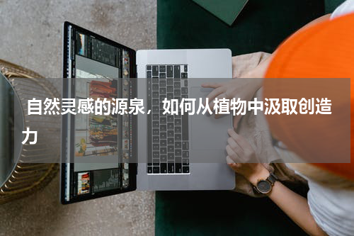  自然灵感的源泉，如何从植物中汲取创造力