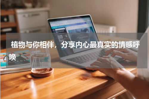  植物与你相伴，分享内心最真实的情感呼唤