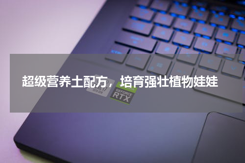  超级营养土配方，培育强壮植物娃娃