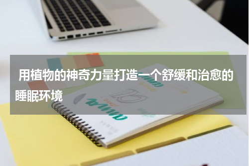  用植物的神奇力量打造一个舒缓和治愈的睡眠环境