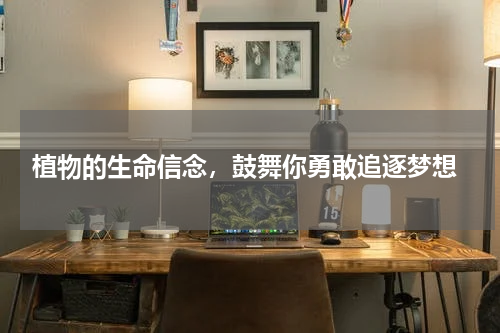  植物的生命信念，鼓舞你勇敢追逐梦想