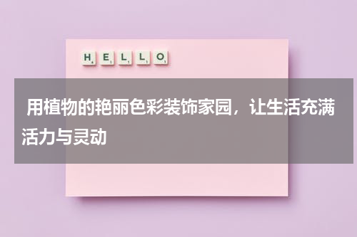  用植物的艳丽色彩装饰家园，让生活充满活力与灵动