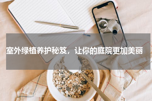  室外绿植养护秘笈，让你的庭院更加美丽