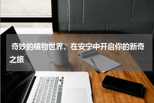  奇妙的植物世界，在安宁中开启你的新奇之旅