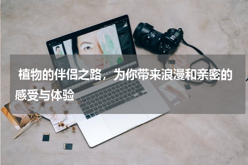  植物的伴侣之路，为你带来浪漫和亲密的感受与体验