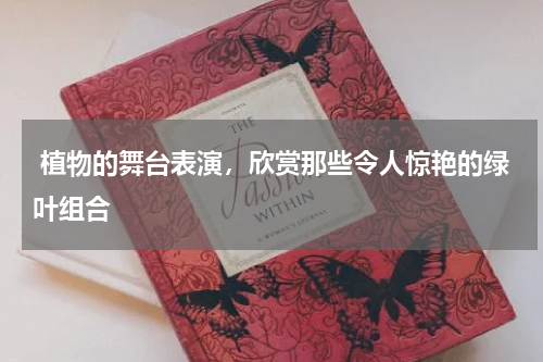  植物的舞台表演，欣赏那些令人惊艳的绿叶组合
