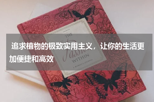  追求植物的极致实用主义，让你的生活更加便捷和高效