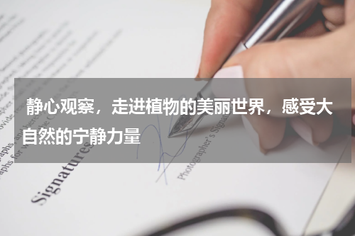  静心观察，走进植物的美丽世界，感受大自然的宁静力量