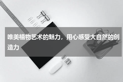 唯美植物艺术的魅力，用心感受大自然的创造力