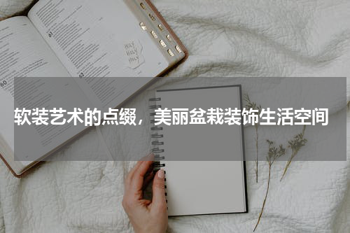  软装艺术的点缀，美丽盆栽装饰生活空间