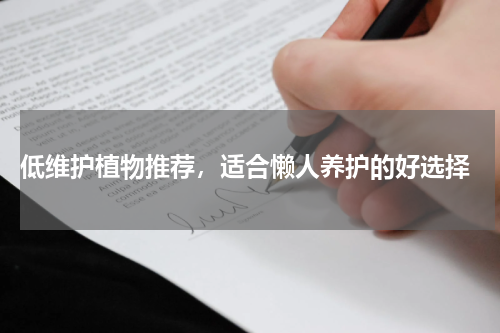  低维护植物推荐，适合懒人养护的好选择