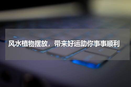  风水植物摆放，带来好运助你事事顺利