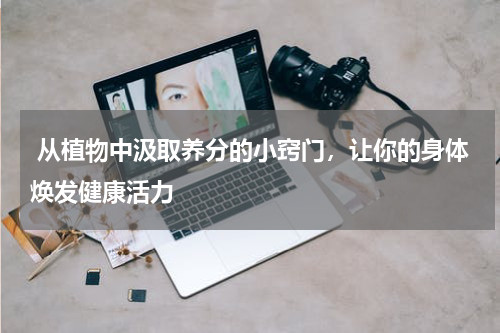  从植物中汲取养分的小窍门，让你的身体焕发健康活力