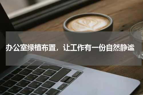  办公室绿植布置，让工作有一份自然静谧