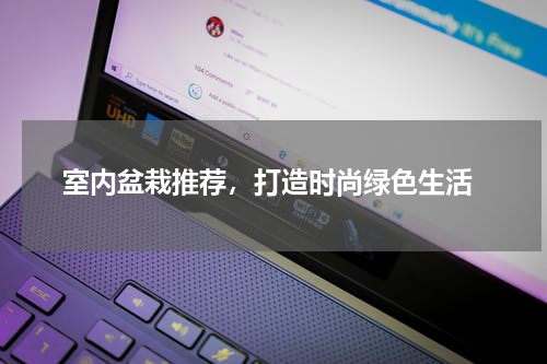  室内盆栽推荐，打造时尚绿色生活