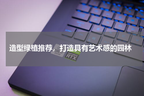  造型绿植推荐，打造具有艺术感的园林