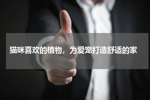  猫咪喜欢的植物，为爱宠打造舒适的家