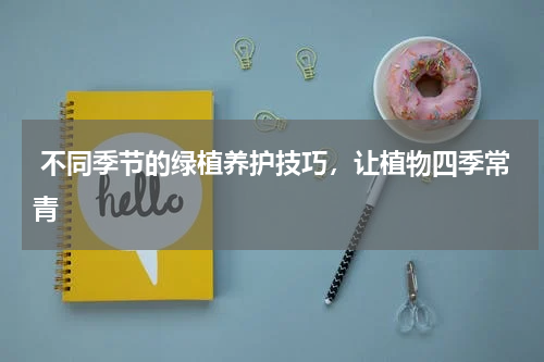  不同季节的绿植养护技巧，让植物四季常青