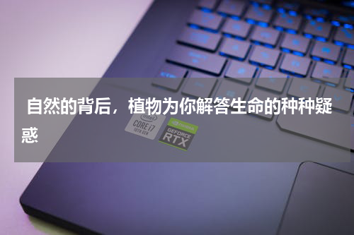  自然的背后，植物为你解答生命的种种疑惑