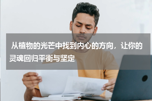  从植物的光芒中找到内心的方向，让你的灵魂回归平衡与坚定