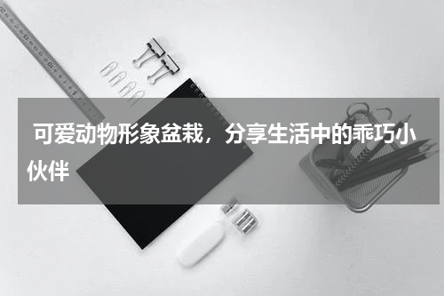  可爱动物形象盆栽，分享生活中的乖巧小伙伴