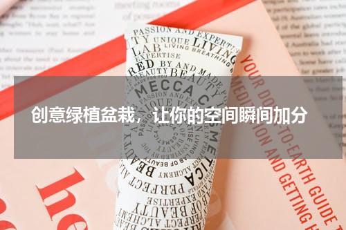  创意绿植盆栽，让你的空间瞬间加分