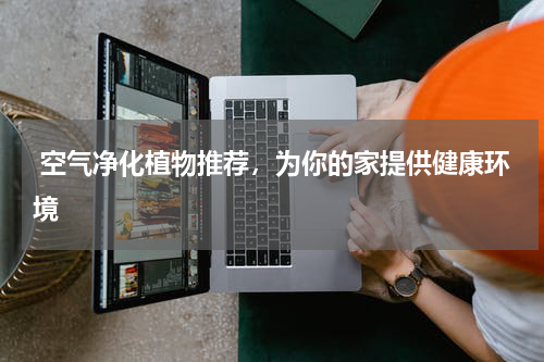  空气净化植物推荐，为你的家提供健康环境