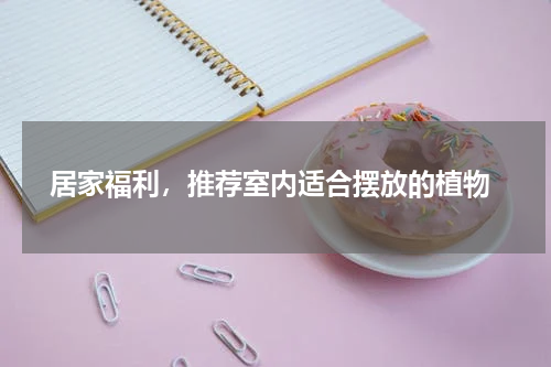  居家福利，推荐室内适合摆放的植物