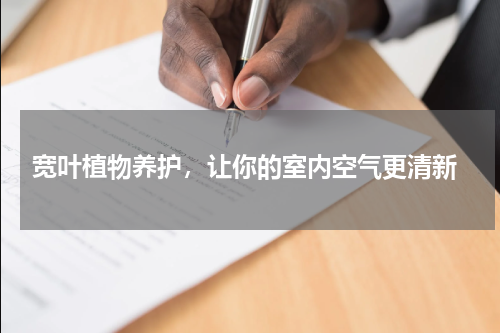  宽叶植物养护，让你的室内空气更清新
