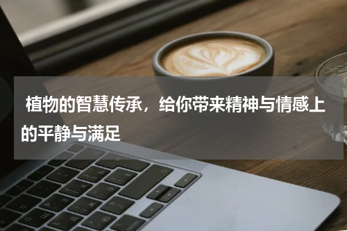  植物的智慧传承，给你带来精神与情感上的平静与满足