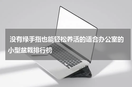  没有绿手指也能轻松养活的适合办公室的小型盆栽排行榜