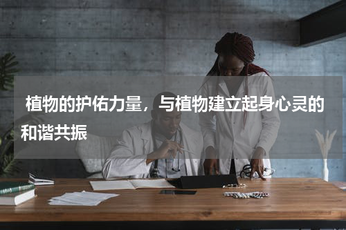  植物的护佑力量，与植物建立起身心灵的和谐共振