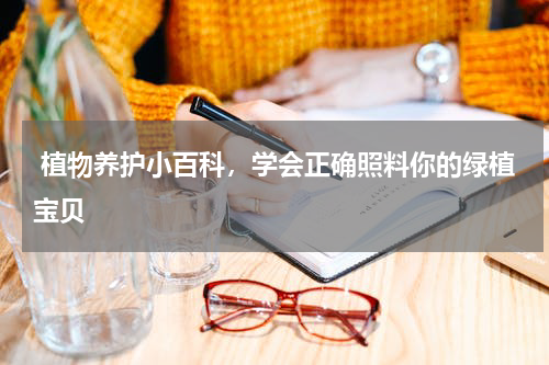  植物养护小百科，学会正确照料你的绿植宝贝
