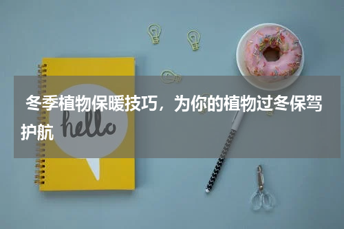  冬季植物保暖技巧，为你的植物过冬保驾护航