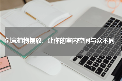  创意植物摆放，让你的室内空间与众不同