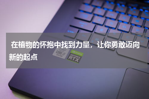 在植物的怀抱中找到力量，让你勇敢迈向新的起点